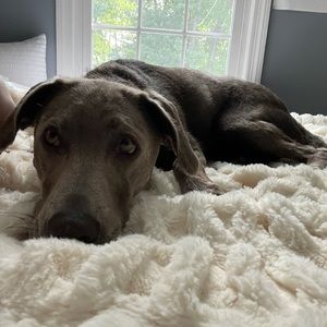 Meet your Posher, Maria